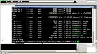 VMware vSphere 5.1 - Introduction to Virtual Machines