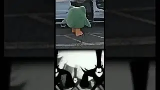 мем