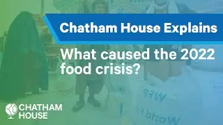 What caused the 2022 food crisis? | Explainer | Chatham House