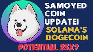 Samoyed Coin update - Price Prediction, Technical Analysis and Market Capitalisation