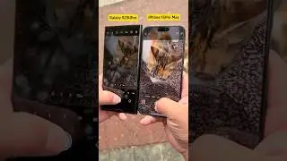 iPhone 15 Pro Max vs Samsung S23 Ultra #iphone #photography #iphonevssamsung #s23ultra #15promax