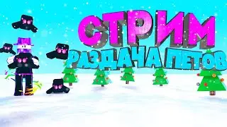 🤗Стрим Раздача петов в Бабл Гам (Bubble Gum Simulator)🤗