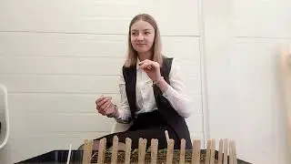 Посев томатов на рассаду! 🍅