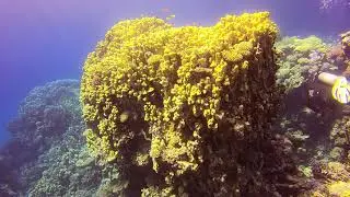 2021 04 30 dahab islands