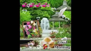 good morning status 💙 good morning video 📹 good morning status whatsapp 😊 good 👍