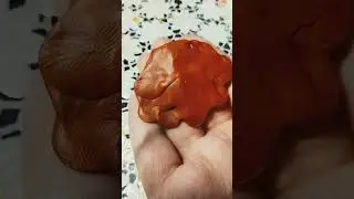 трофей сталкера глаз плоти #сталкер