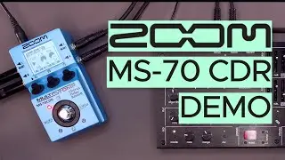 Zoom Multistomp MSR-70 Sound Demo (no talking) with Twisted Electrons MEGAfm