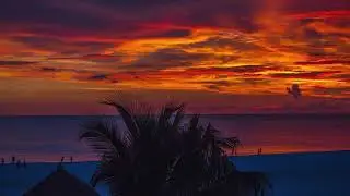 Relaxing Chill Out & Lounge Music 2021 🌅 Sunset Palm Trees 🌴 Ocean Beautiful View #AMBIENT #CHILLOUT