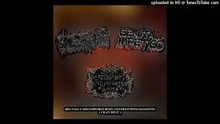 Inanimate Flesh​ / ​Genital Impetigo ​/ ​Deformation Of Aborted Embryo - 3-Way Split