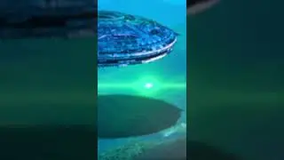Уфолог бьеют тревогу 