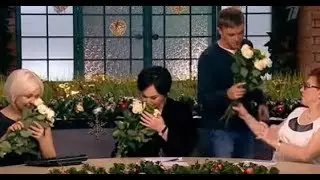 #Давайпоженимся