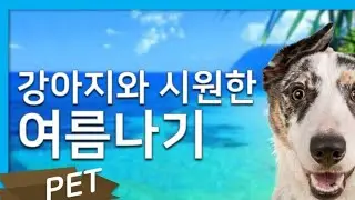 강아지와 시원하게 여름나기, 애견펜션가고싶네요. 🏖  I hope you will stay cool this summer