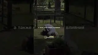 Какой смысл иметь все деньги этого мира ? 