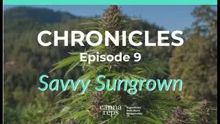 Savvy Sungrown: Growing Cannabis Outdoors | CHRONICLES 09