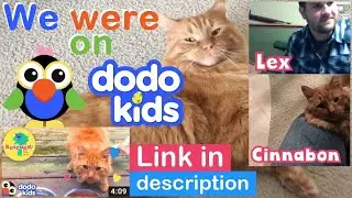 Dodo Kids features Cinnabon's story!