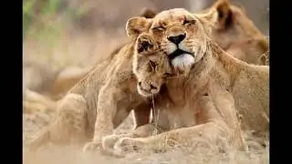 ViewBug Presents: 
