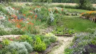 Explore Danesbury Fernery