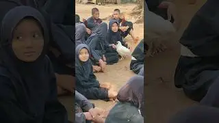 Tes Ayam Siswa Psht #shots #hiburan #hiburanlucu #pshtpusatmadiun #psht #shortvideo