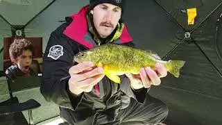 No Stripe Perch!!! 🤯