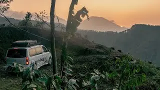 RELAXING CAMPERVAN CAMPING IN THE PINE FOREST | ASMR | BLUETTI