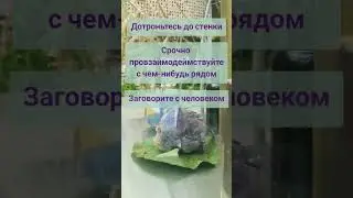 Как быстро выйти из апатии и скуки #психология #эмоции #саморазвитие