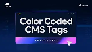 Creating colorful Tag Pills with the Framer CMS