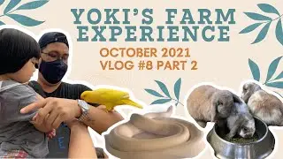 YOKI'S FARM EXPERIENCE | OCTOBER 2021 (PART 2)