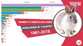 Number of Rabbits and Hares Worldwide by Country 1961-2018