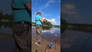 Щука с берега🐬🎣#sorts #fishing