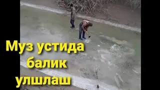 Муз устида балик улшлаш  Мана хакикий балик ови_ 