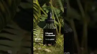 Animation ShowReal