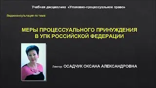 Меры процессуального принуждения принуждения в УПК Российской Федерации