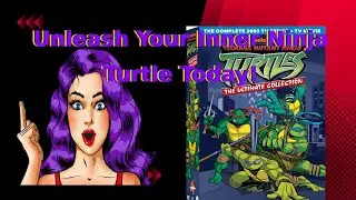 Unleash Your Inner Ninja with the Ultimate Teenage Mutant Ninja Turtles 2003 DVD Collection