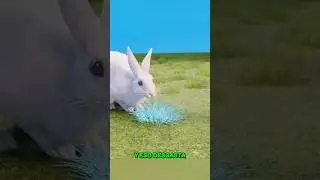 Teeth like these can be deadly! 😱🐰