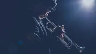 The Life - Amphibious Zoo Music