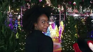 Winter Wonderland in The Plaza at The Standard, High Line