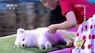 Девочка усыпила животных и розбудила