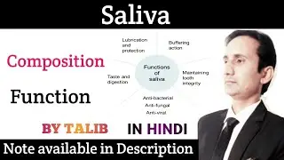 Saliva In Hindi | Composition| Parts | Components | Function | Salivary Glands