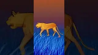 Lion trot animation study #bigcats #lion #animation