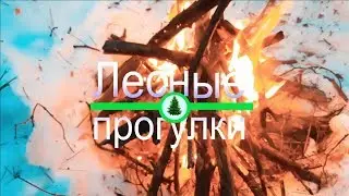 Зимний костёр