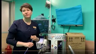 О вопросах репродукции и искусственного осеменения на форуме Компаньон 2021