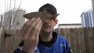 Real Prey Swimbaits - Golden Pond Shiner