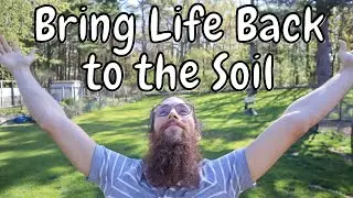 Feeling Passionate About Soil Life and Regenerative Agriculture! Healing the Earth and Reforestation