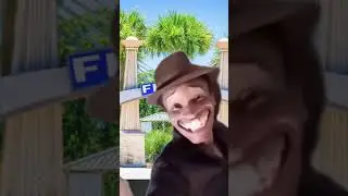 POV: You enter Florida 