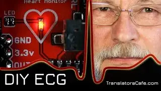 DIY ECG