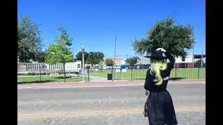 Windy Day