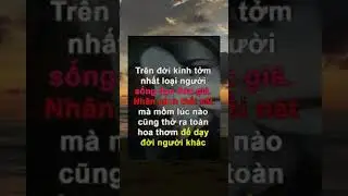 Trên đời kinh tởm nhất là loại đạo đức giả