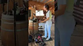 Brent Brown - Take Me Home #shortsvideo #originalsong