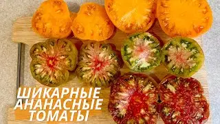Обязательно попробуйте эти томаты!