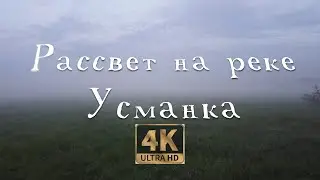 Новая Усмань | Рассвет на реке